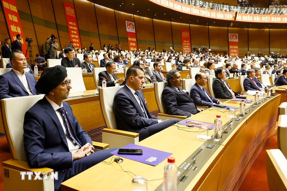 Đại biểu quốc tế dự Lễ kỷ niệm. (Ảnh: Doãn Tấn/ TTXVN)