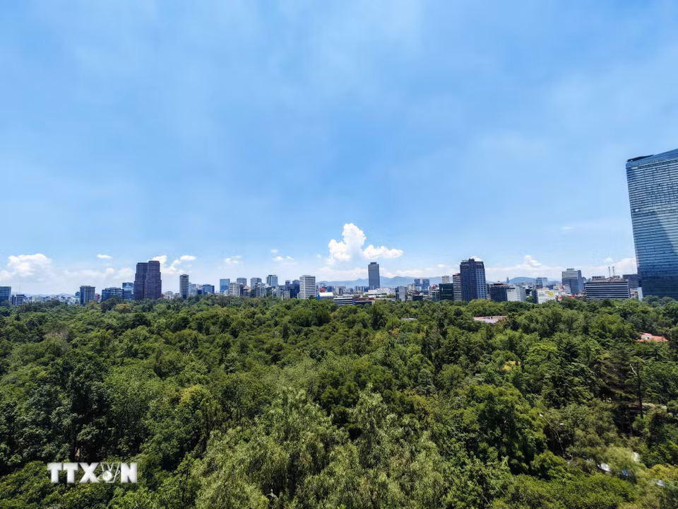 Toàn cảnh Mexico City nhìn từ lâu đài Chapultepec, với công viên và các khu vực đô thị trải rộng phía dưới. (Ảnh: Phương Lan/TTXVN)