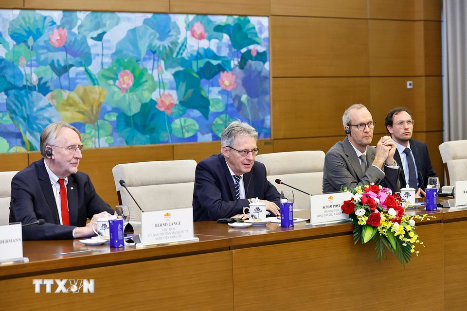 Ông Achim Post, Trưởng đoàn, Phó Chủ tịch Liên bang Đảng SPD phát biểu. (Ảnh: Doãn Tấn/TTXVN)