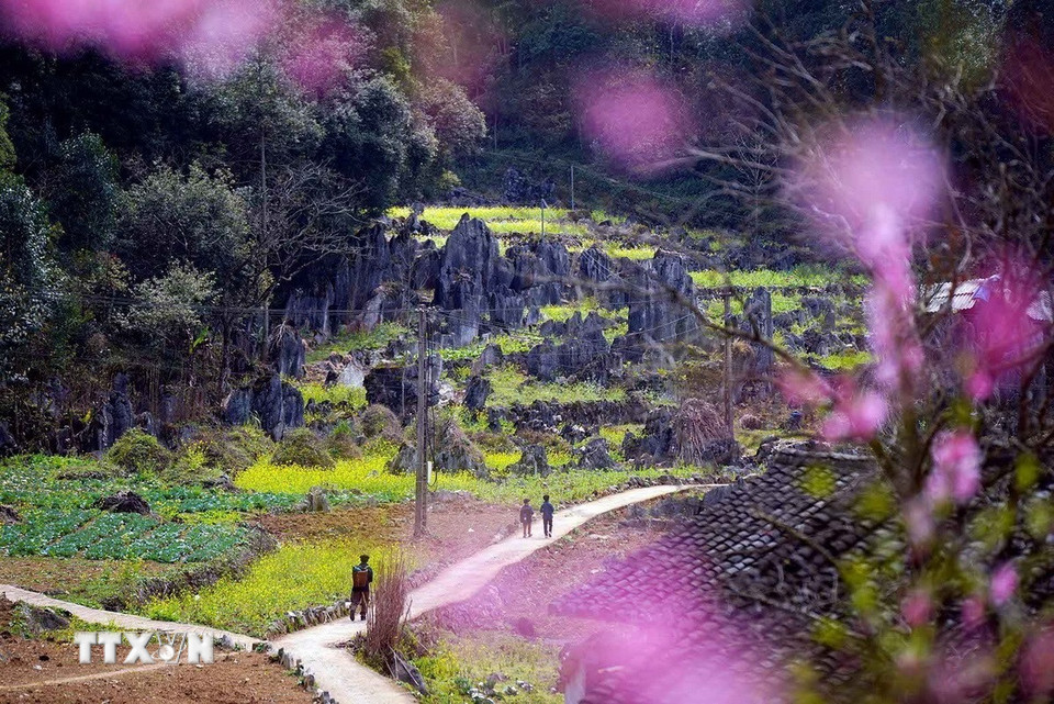 Vẻ đẹp của vùng Cao nguyên đá Đồng Văn. (Ảnh: Khánh Hòa/TTXVN)