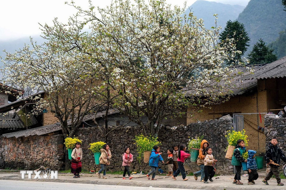 Vẻ đẹp kỳ vĩ của núi đá, kiến trúc cổ kính của những ngôi nhà trình tường, những phiên chợ vùng cao rộn ràng sắc âm thanh, tất cả kết hợp tạo nên một không gian văn hóa đầy cuốn hút. (Ảnh: Khánh Hòa/TTXVN)