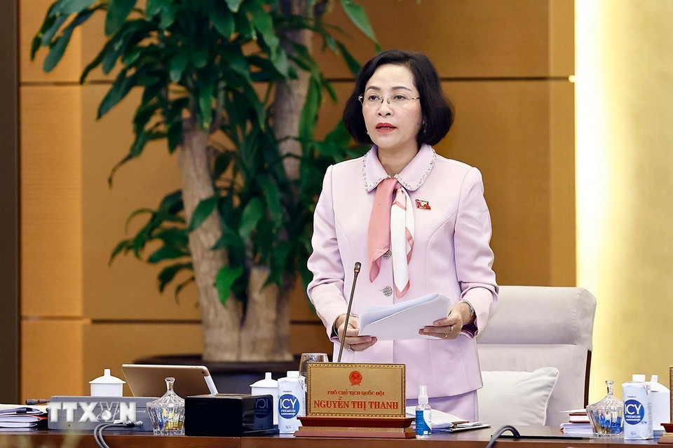 Phó Chủ tịch Quốc hội Nguyễn Thị Thanh phát biểu. (Ảnh: Doãn Tấn/TTXVN)