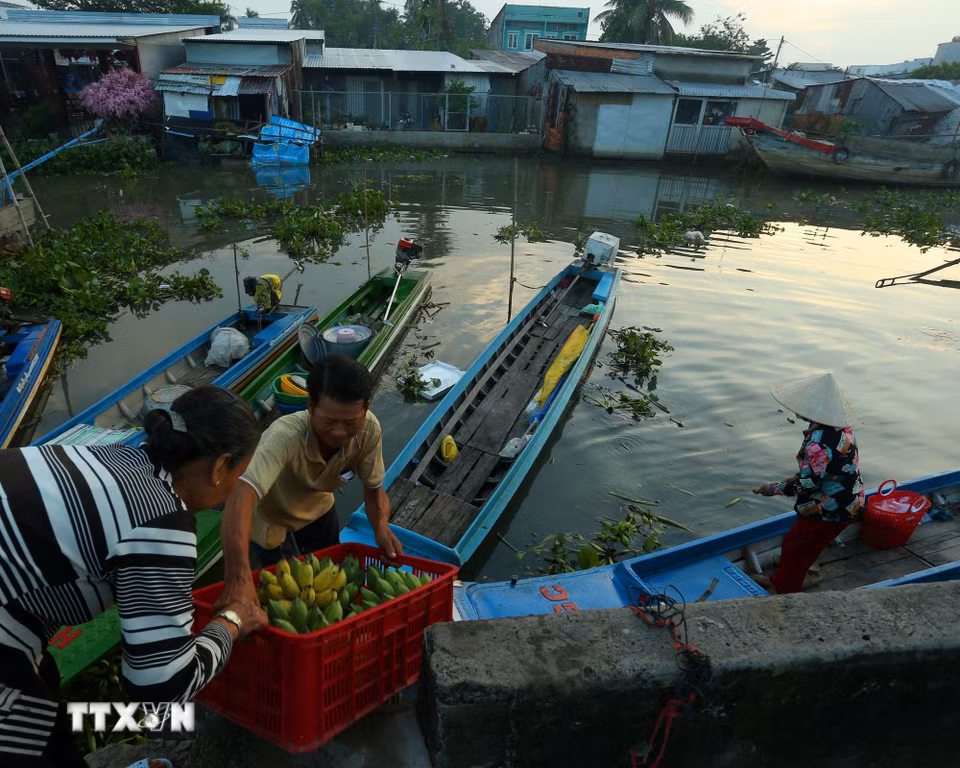 Nét đặc trưng vùng sông nước Đồng bằng sông Cửu Long nơi khu chợ. (Ảnh: Duy Khương/TTXVN)