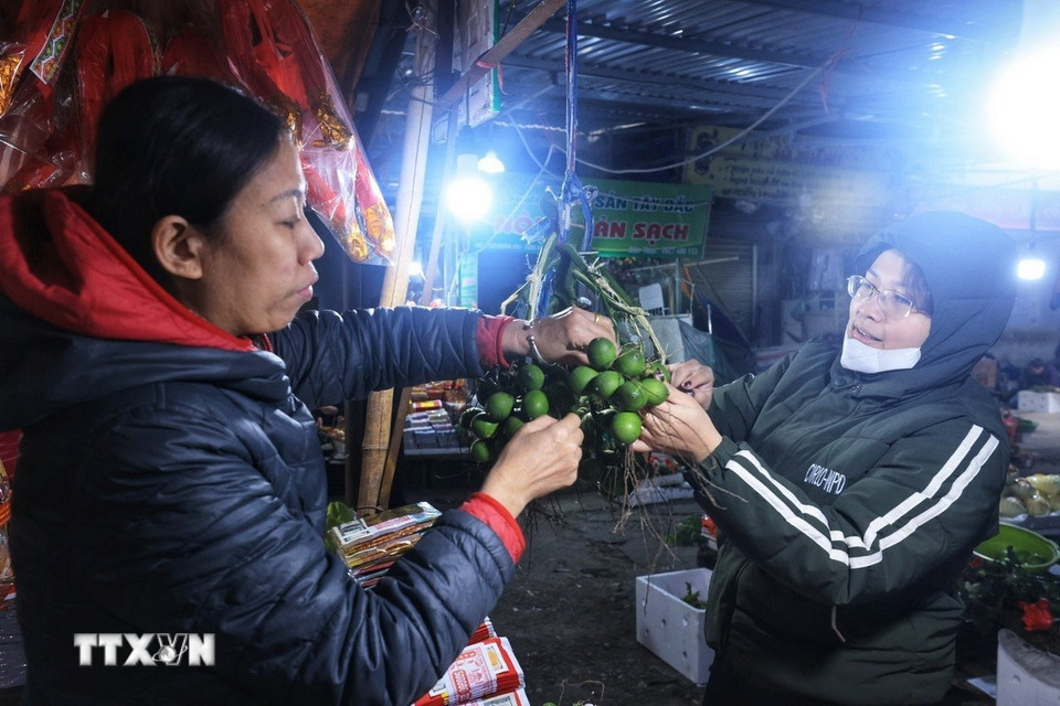 Quả cau không thể thiếu trong mâm cúng của các gia đình. (Ảnh: Tuấn Anh/TTXVN)