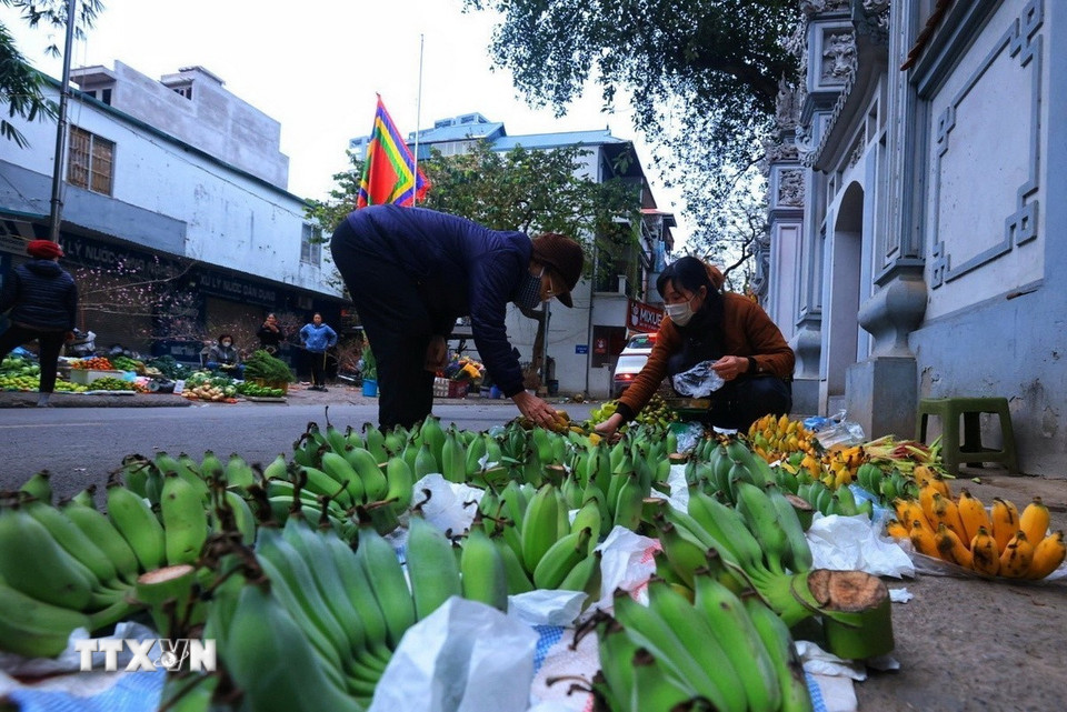 Chuối là mặt hàng không thể thiếu trong mâm ngũ quả thắp hương đêm Giao thừa của mỗi gia đình. (Ảnh: Tuấn Anh/TTXVN)