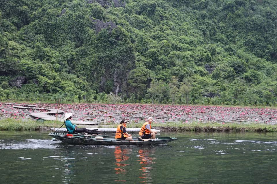 Mùa hoa súng tím mang đến trải nghiệm đáng nhớ cho du khách trong hành trình khám phá Ninh Bình. (Ảnh: Thùy Dung/TTXVN)