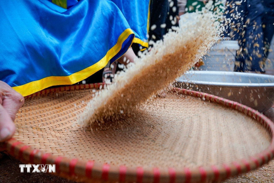 Công đoạn sảy vỏ trấu. (Ảnh: Khánh Hòa/TTXVN)