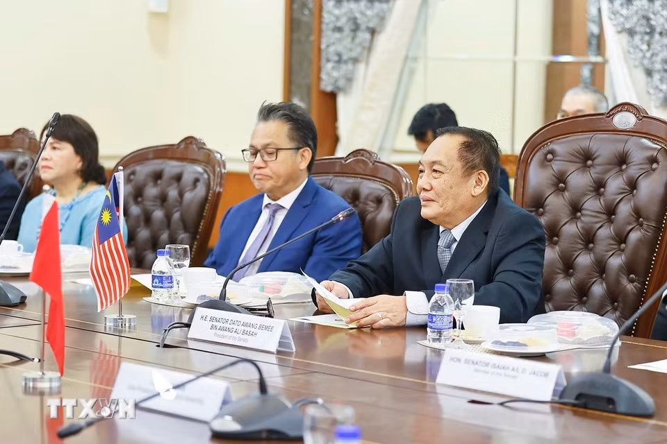 Chủ tịch Thượng viện Malaysia Dato' Awang Bemee Awang Ali Basah phát biểu. (Ảnh: Doãn Tấn/TTXVN)