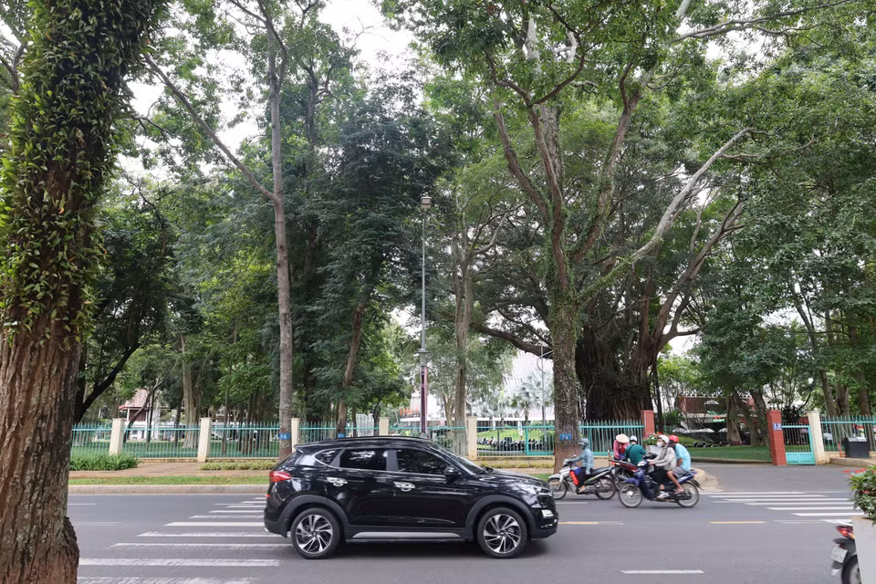 Cây xanh cổ thụ tạo nên những cánh "rừng trong phố" kết nối với những công trình kiến trúc có chi tiết mang hơi hướng kiến trúc nhà sàn, nhà dài Tây Nguyên đã tạo nên bản sắc độc đáo của đô thị Buôn Ma Thuột. (Ảnh: Kha Phạm/TTXVN)