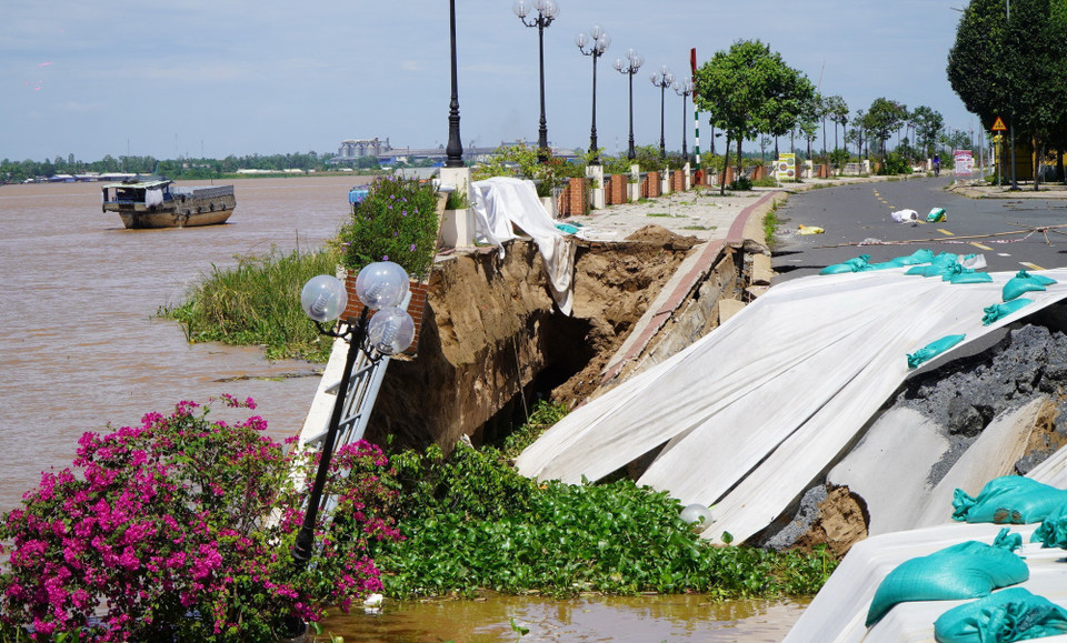 Kè Thường Thới Tiền thuộc xã Thường Phước (Đồng Tháp) bị sạt lở xuống sông Tiền, hư hỏng nghiêm trọng. (Ảnh: Nhựt An/TTXVN)