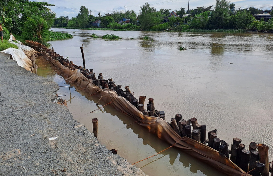 Sạt lở bờ sông Cần Lố (thuộc phường Mỹ Trà, tỉnh Đồng Tháp) “ăn” sâu vào đường giao thông. (Ảnh: Nhựt An/ TTXVN)