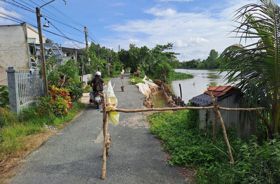 Tuyến đường giao thông ven sông Cần Lố bị sạt lở, hạn chế phương tiện lưu thông. (Ảnh: Nhựt An/TTXVN)