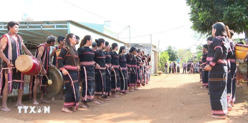 Nhiều hoạt động văn hóa như cồng chiêng, múa xoang được trình diễn tại Lễ cầu hôn (Lễ ăn hỏi) của người Jrai tại tỉnh Gia Lai. (Ảnh: Hồng Điệp/TTXVN)