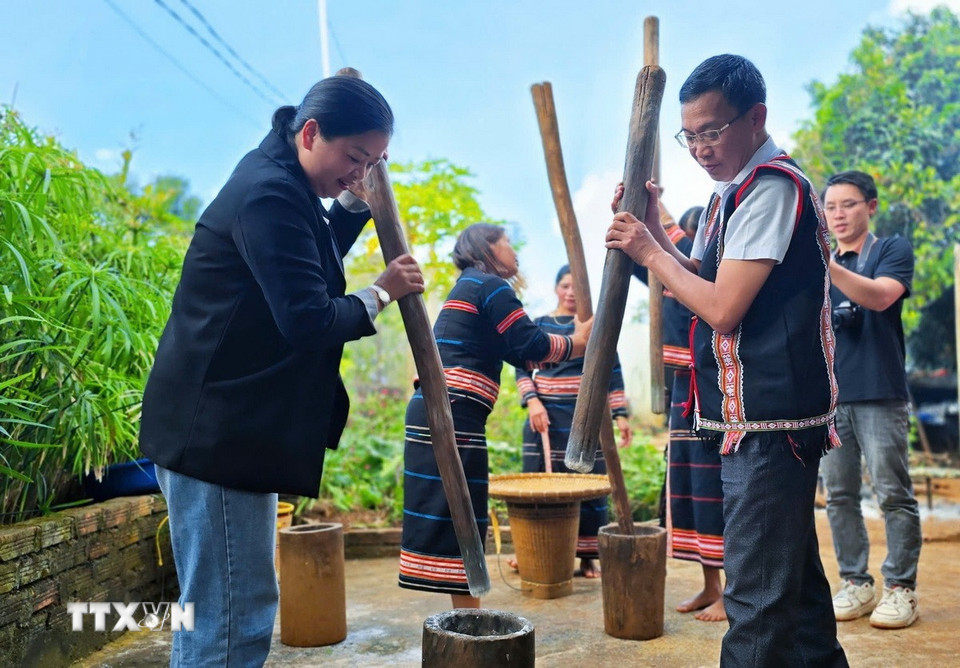 Du khách trải nghiệm giã gạo tại Lễ cầu hôn (Lễ ăn hỏi) của người Jrai tại tỉnh Gia Lai. (Ảnh: Hồng Điệp/TTXVN)