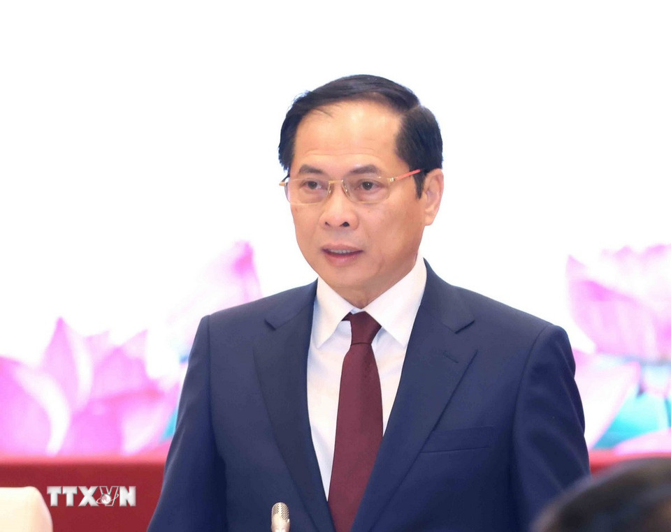Phó Thủ tướng, Bộ trưởng Bộ Ngoại giao Bùi Thanh Sơn phát biểu tại hội nghị. (Ảnh: Phương Hoa/TTXVN)