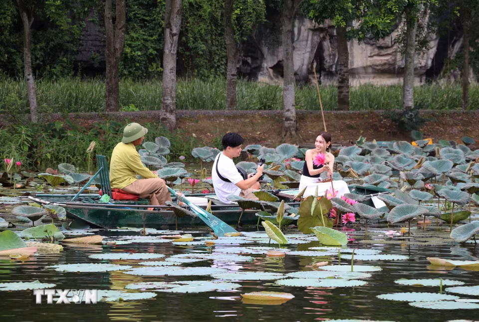 Mùa hoa súng tím là điểm đến hấp dẫn, thu hút nhiều bạn trẻ đến tham quan, chụp ảnh. (Ảnh: Thùy Dung/TTXVN)
