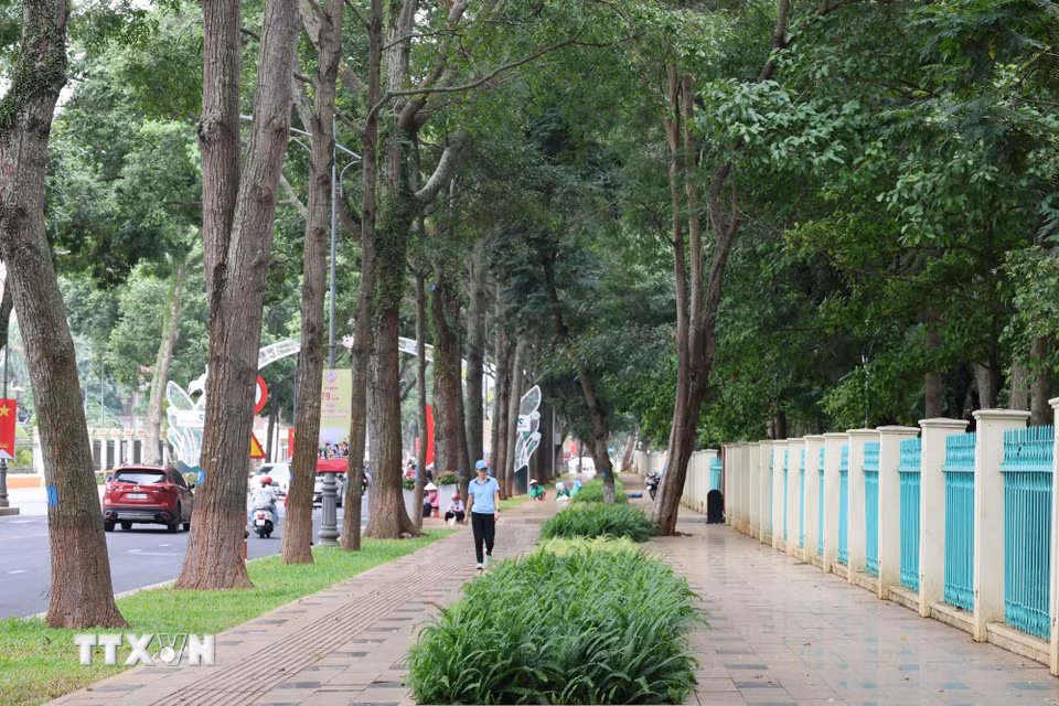 Những không gian vỉa hè rộng rãi và rợp bóng cây xanh cổ thụ tại Buôn Ma Thuột. (Ảnh: Kha Phạm/TTXVN)