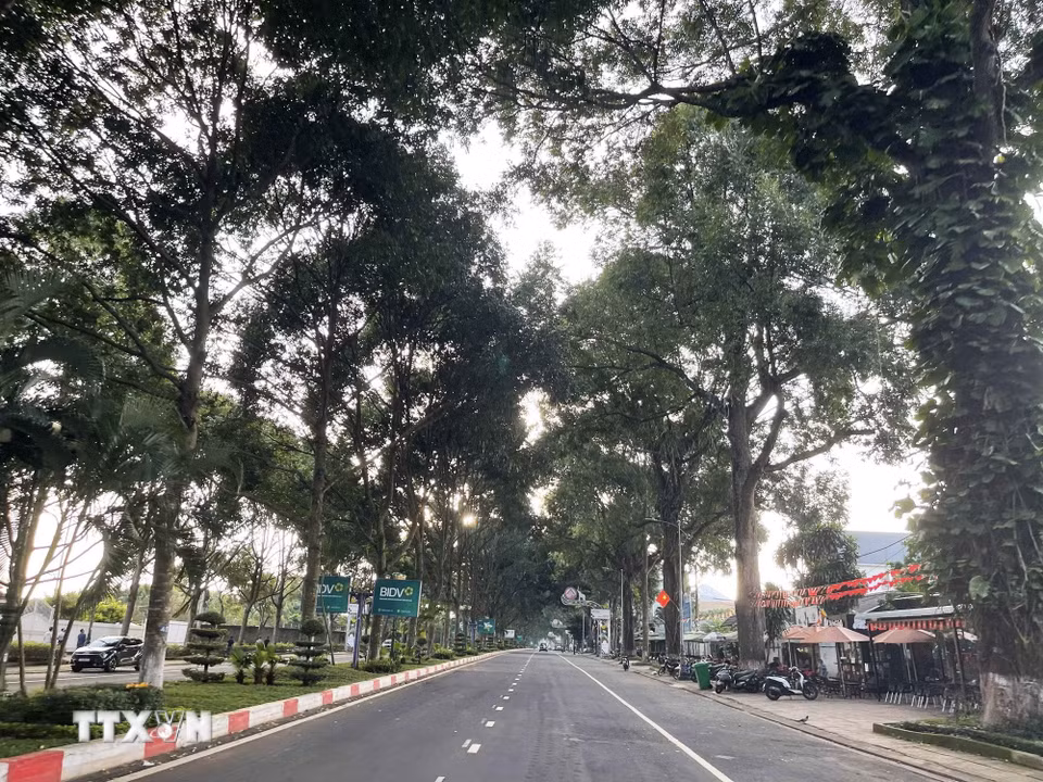 Tuyến đường Đam San dẫn vào sân bay Buôn Ma Thuột. (Ảnh: Kha Phạm/TTXVN)