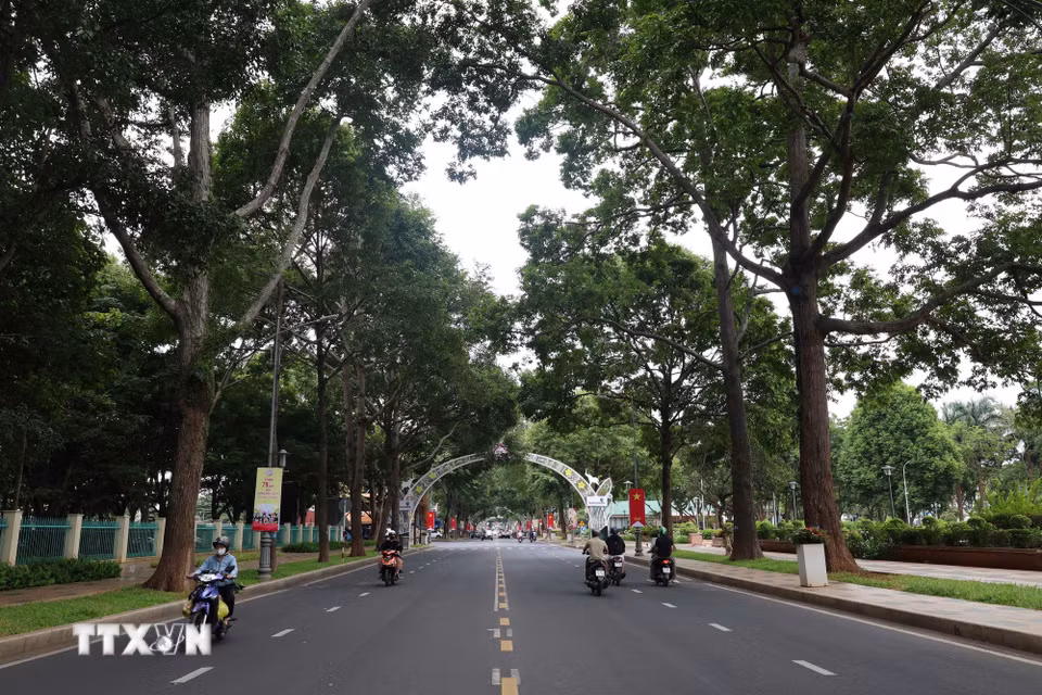 Những tuyến phố rợp bóng cây xanh tại Buôn Ma Thuột. (Ảnh: Kha Phạm/TTXVN)