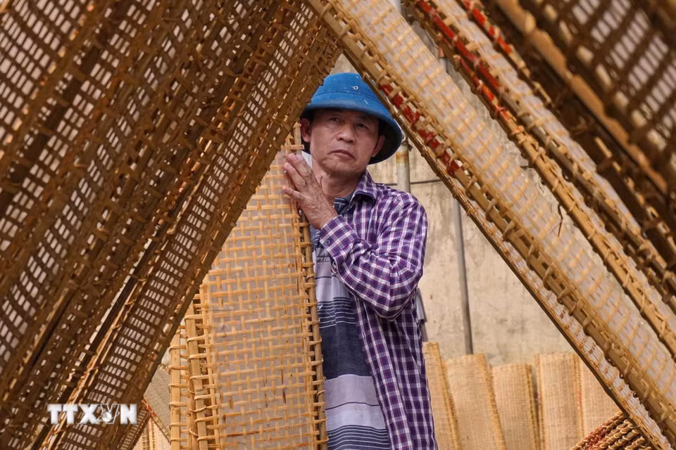 Những phên bánh đa được dựng thành hàng, tận dụng tối đa ánh nắng tự nhiên để làm khô sản phẩm. (Ảnh: Hà Anh/TTXVN phát)