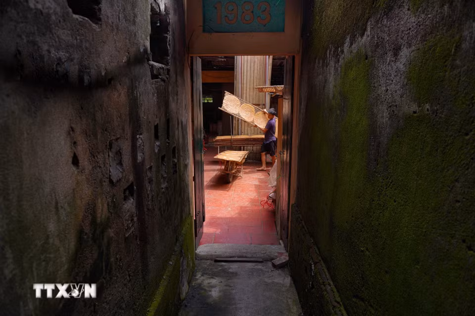 Nhịp sản xuất hối hả tại một hộ gia đình làm nghề. Những phên bánh đa nướng được chuyển qua cửa nhà để nhanh chóng đưa ra khu vực đón nắng. (Ảnh: Hà Anh/TTXVN phát)