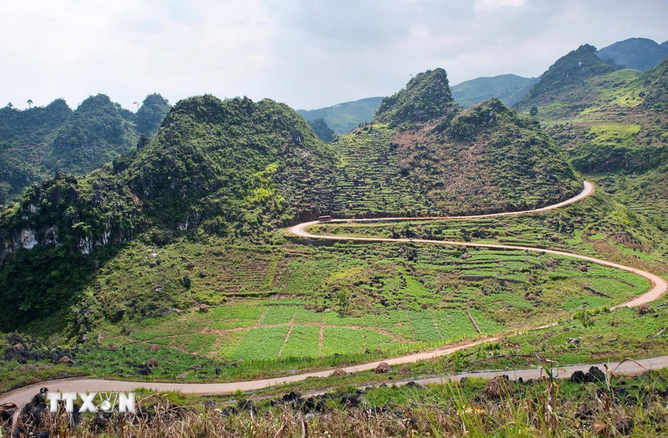 Cao nguyên đá Đồng Văn. (Ảnh: TTXVN phát)