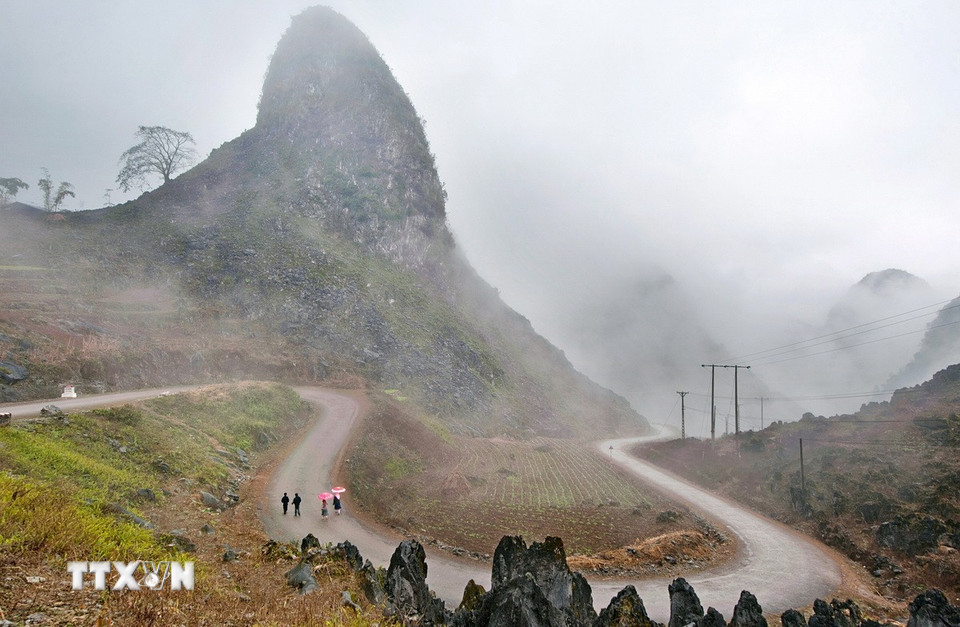 Cao nguyên đá Đồng Văn. (Ảnh: TTXVN phát)