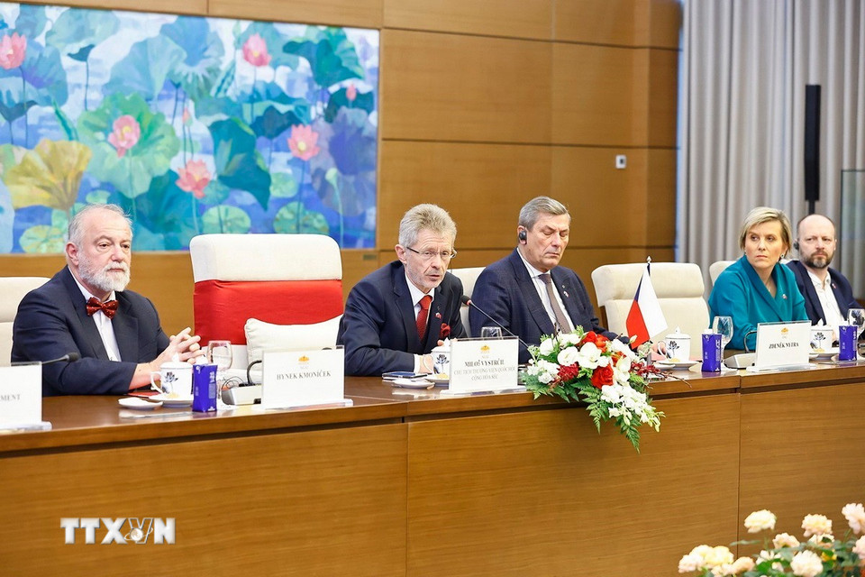 Chủ tịch Thượng viện Quốc hội Cộng hòa Séc Milos Vystrcil phát biểu. (Ảnh: Doãn Tấn/TTXVN)