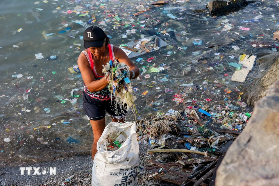 Đến năm 2050, số lượng cá ở các đại dương trên thế giới có thể sẽ ít hơn lượng nhựa trong môi trường này khi mà có đến 11 triệu tấn rác thải nhựa xâm nhập các đại dương mỗi năm. (Nguồn: THX/TTXVN)