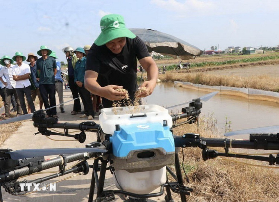 Hướng dẫn nông dân Bắc Ninh chuẩn bị gieo giống lúa bằng thiết bị bay không người lái. (Ảnh: Đỗ Huyền/TTXVN)