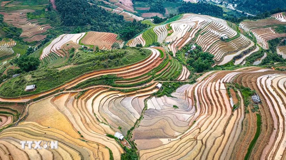 Nước được “phủ” đầy trên bề mặt những thửa ruộng bậc thang sau cày ải, tương phản dưới ánh nắng mặt trời cùng những gam màu đa sắc hòa quyện với nhau, từ màu của nước, của đất, màu cây cối, trời mây...đã tạo nên một bức tranh bích họa giữa núi non hùng vỹ. (Ảnh: Khánh Hòa/TTXVN)