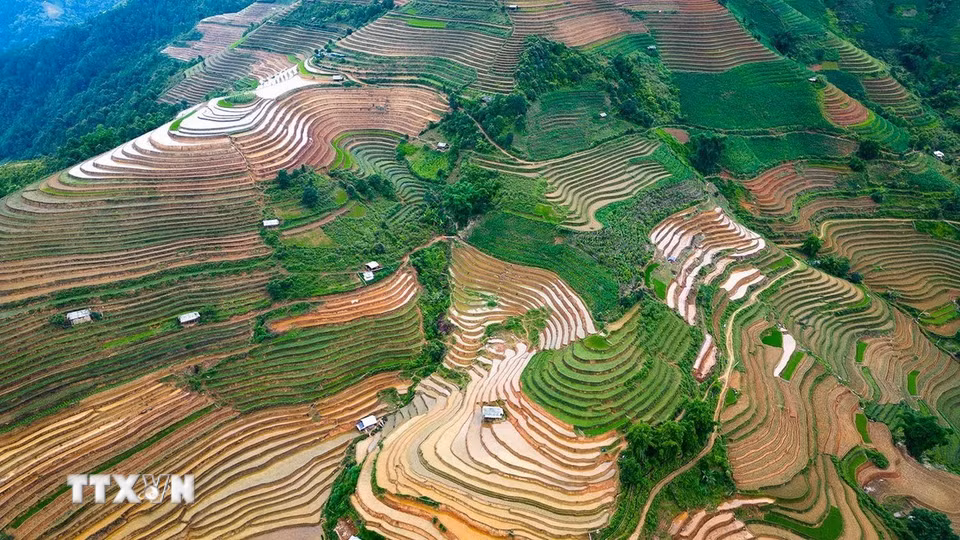 Vẻ đẹp của những thửa ruộng bậc thang mùa nước đổ tại xã Lao Chải (huyện Mù Cang Chải, tỉnh Yên Bái). (Ảnh: Khánh Hòa/TTXVN)