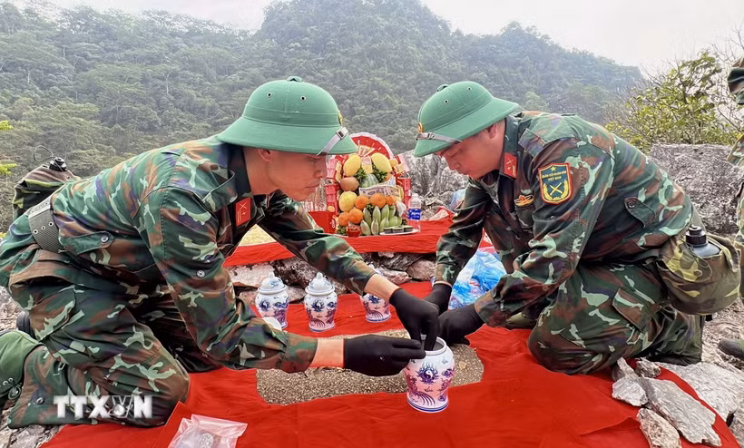 Ảnh minh họa. (Ảnh: Đức Thọ/TTXVN)