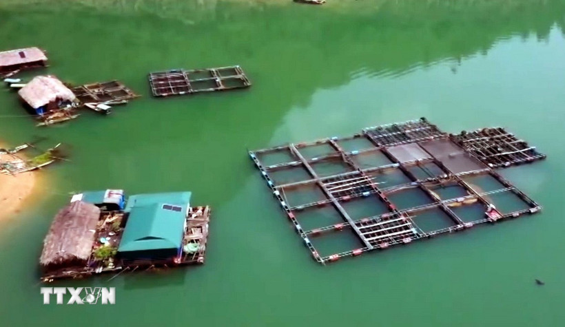 Nhiều diện tích nuôi cá lồng trên sông Gâm ở Minh Ngọc (Tuyên Quang) phát huy hiệu quả. (Ảnh: TTXVN phát)