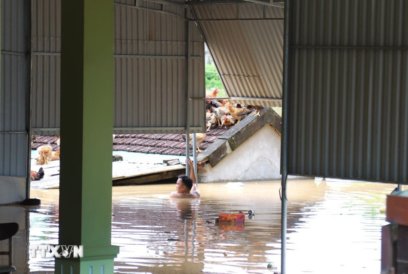 Nước lũ dâng cao đỉnh điểm với mực nước gần chạm tới nóc nhà của người dân. (Ảnh: Xuân Tiến/TTXVN)