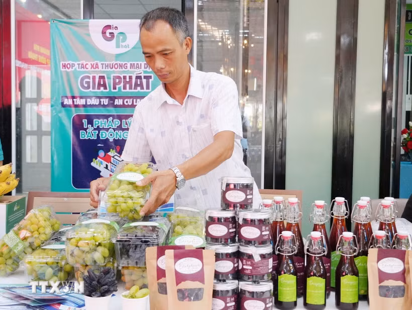 Sản phẩm nho tươi và nho chế biến của Hợp tác xã Nho Evergreen Ninh Thuận (phường Ninh Chử, Khánh Hòa). (Ảnh: Nguyễn Thành/TTXVN)