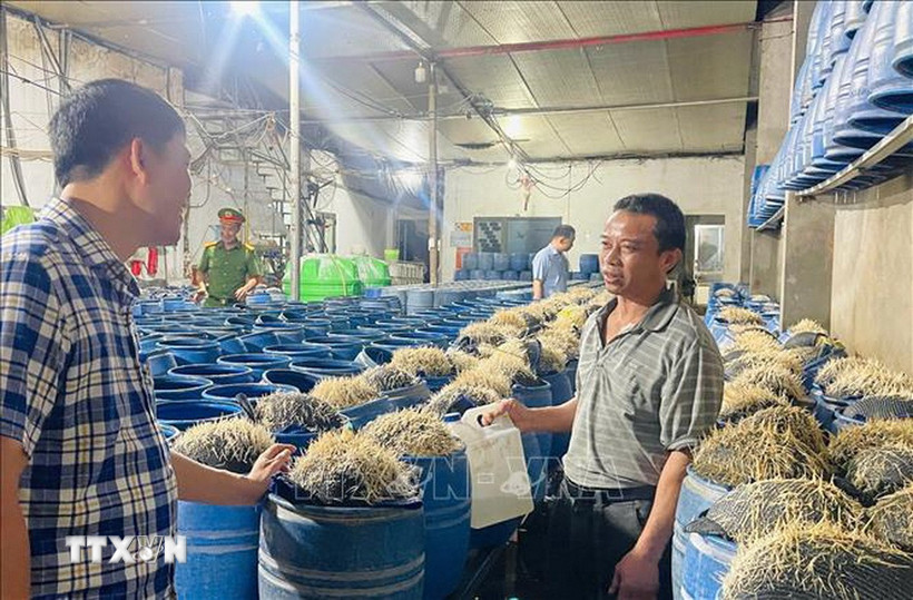 Số thực phẩm đông lạnh không có hóa đơn, chứng từ chứng minh nguồn gốc, xuất xứ bị lực lượng chức năng tỉnh Ninh Bình thu giữ tháng 5/2025. (Ảnh: Hải Yến/TTXVN)