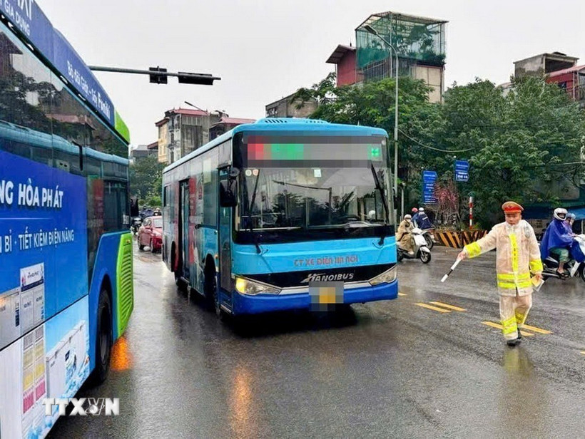 Nhiều xe buýt đi sai luồng tuyến tại khu vực phía Bắc Cầu Chương Dương bị lực lượng chức năng phát hiện và xử lý sáng 18/11/2025. (Ảnh: TTXVN phát)