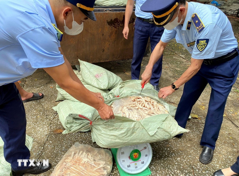 Lực lượng chức năng phát hiện, thu giữ gần 4 tấn chân gà không rõ nguồn gốc xuất xứ. (Ảnh: TTXVN phát)