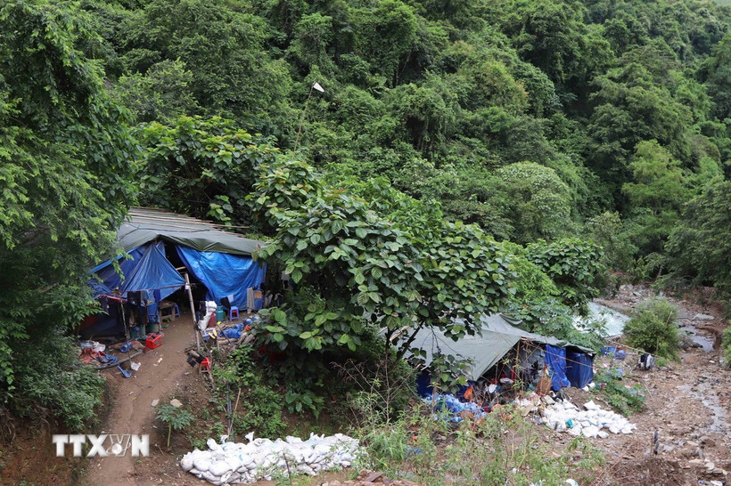 Khu vực lán trại các đối tượng ở trong rừng để tổ chức, khai thác vàng trái phép. (Ảnh: TTXVN phát)