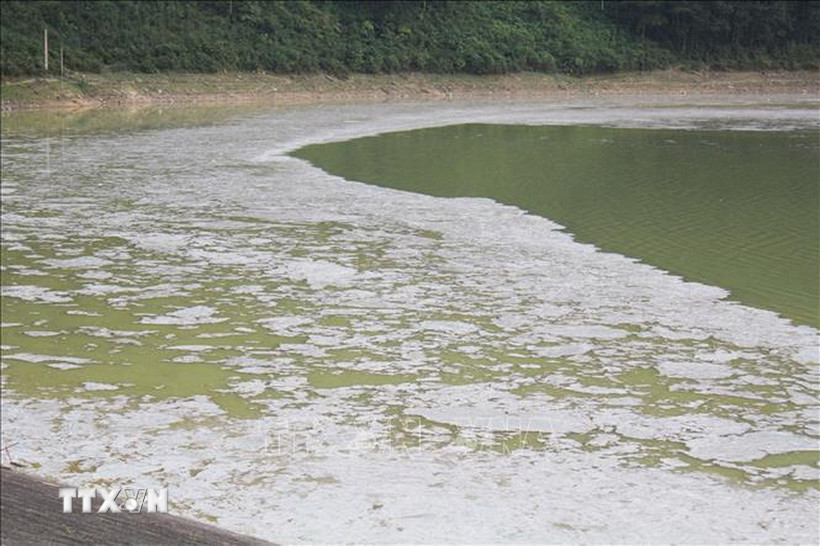 Ảnh minh họa, (Ảnh: Quân Trang?TTXVN)