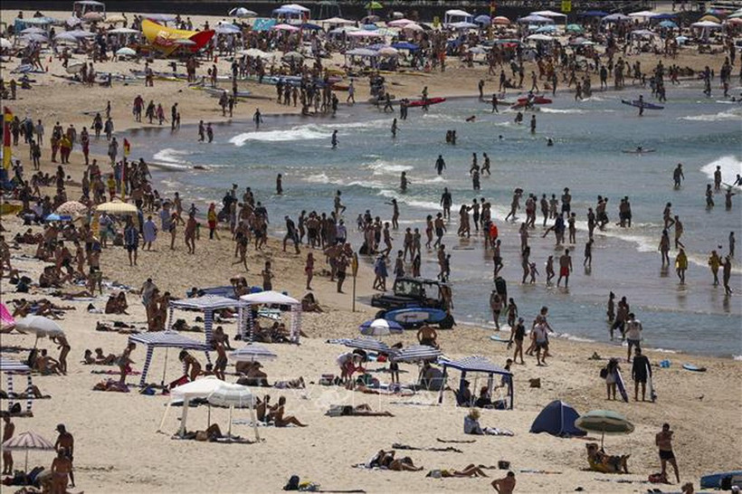 Người dân tắm biển tại bãi biển của Australia. (Ảnh: AFP/TTXVN)