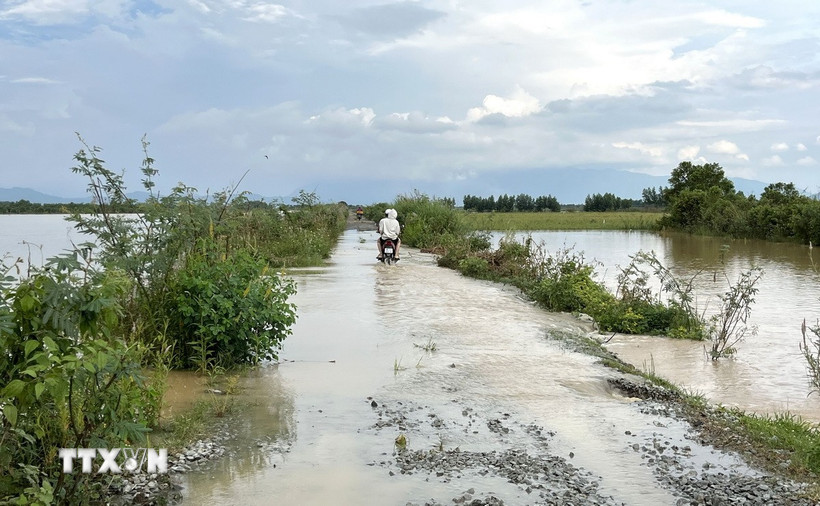 Nước lũ về ngập tràn các tuyến đường nội đồng khu vực xã Nam Thành. (Ảnh: Hồng Hiếu/TTXVN)