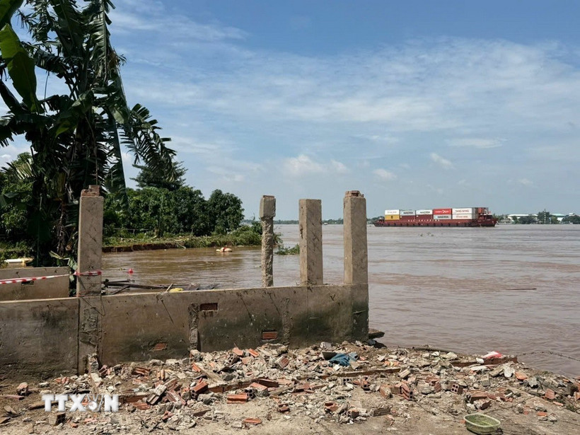 Khu vực sạt lở bờ sông Tiền tại ấp Tân Quới, xã Tân Long, tỉnh Đồng Tháp. 9Ảnh: Công Trí/TTXVN)