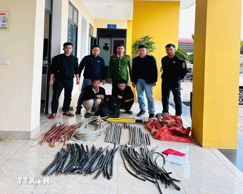 Công an Hà Tĩnh khởi tố 2 anh em Hứa Văn Quang (sinh năm 1984) và Hứa Văn Quí (sinh năm 1990), cùng trú tại thôn Vực Tuần, xã Cát Thịnh, tỉnh Lào Cai, về tội trộm cắp tài sản. (Ảnh: TTXVN phát)