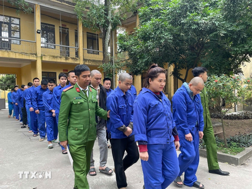 Các đối tượng bị bắt giam. (Ảnh: TTXVN phát)