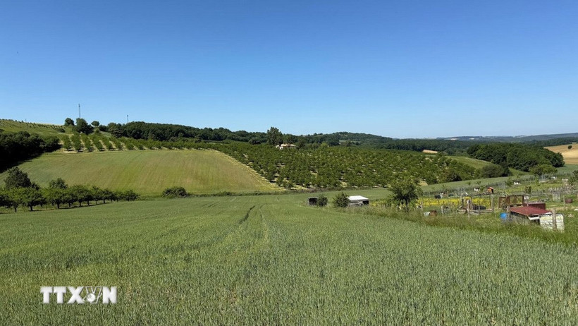 Pháp: Nạn trộm khuấy đảo các vùng nông thôn yên bình 