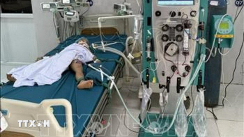 Cháu nhỏ đang được cấp cứu, điều trị tại bệnh viện Nhi tỉnh Gia Lai sau khi bị ong vò vẽ đốt. (Ảnh: TTXVN phát)