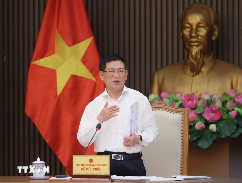 Phó Thủ tướng Hồ Đức Phớc phát biểu tại cuộc họp. (Ảnh: An Đăng/TTXVN)