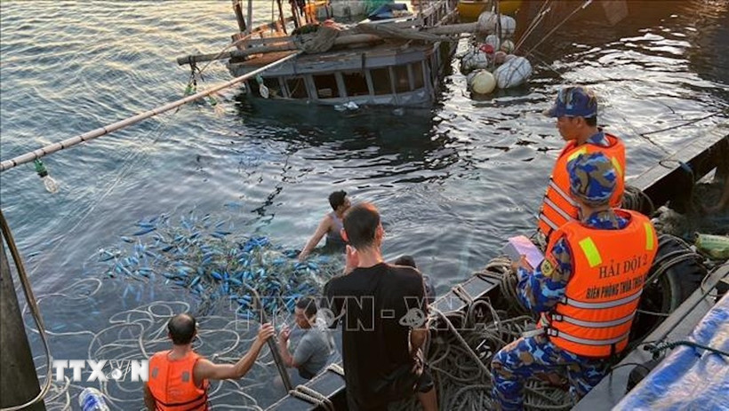 Ảnh minh hoạ. (Ảnh: TTXVN phát)